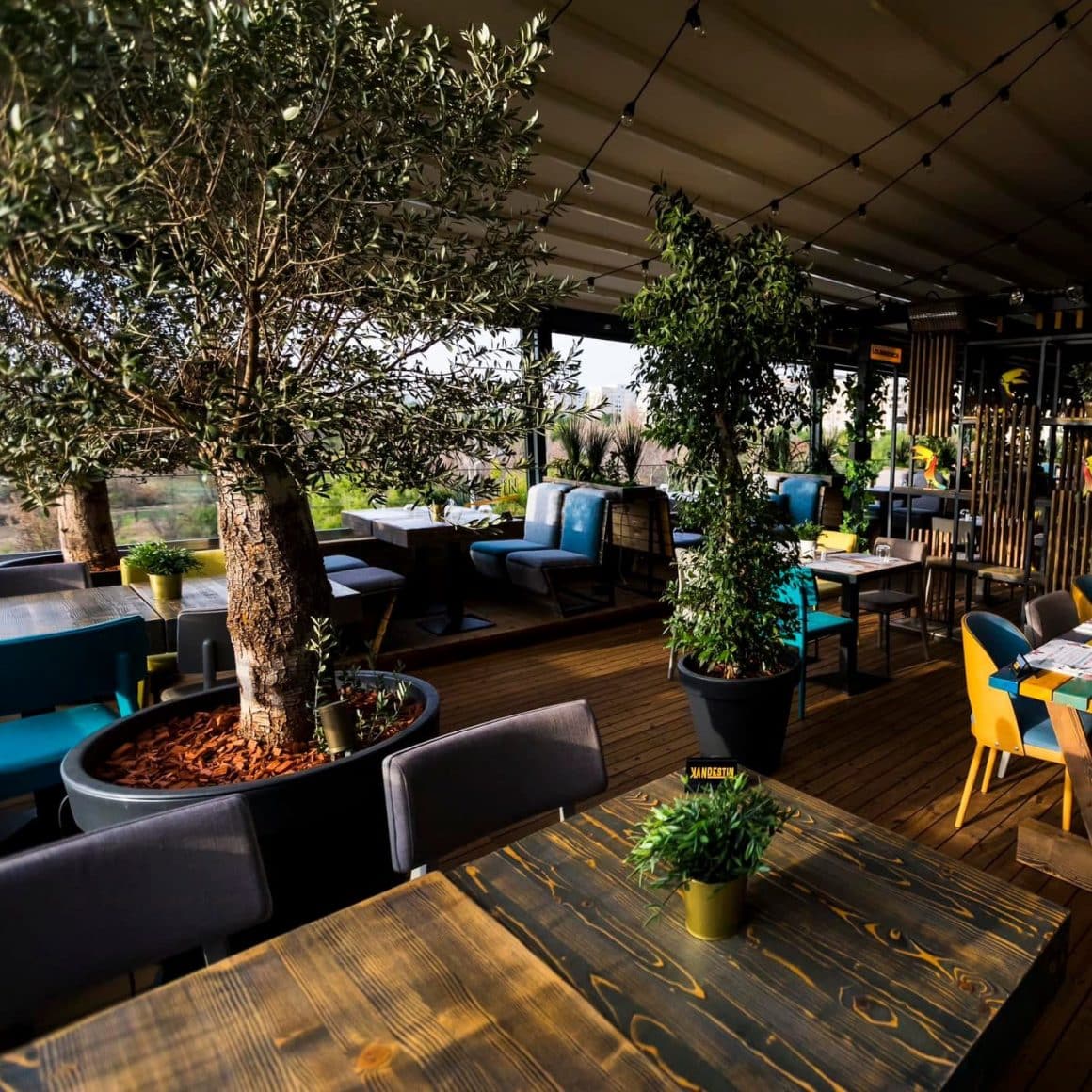 terasa de la Klandestin Titan, cu canapele din catifea si plante decorative printre mese, printre care si un maslin mare, in ghiveci