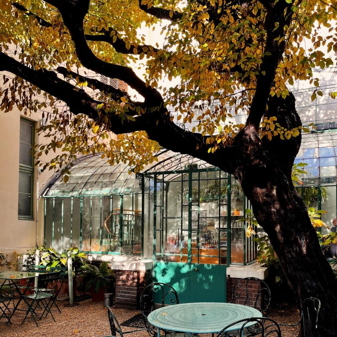 Sera din geamuri si un copac mare care o umbreste, toamna, la Musée de la Vie Romantique. Moulin Rouge