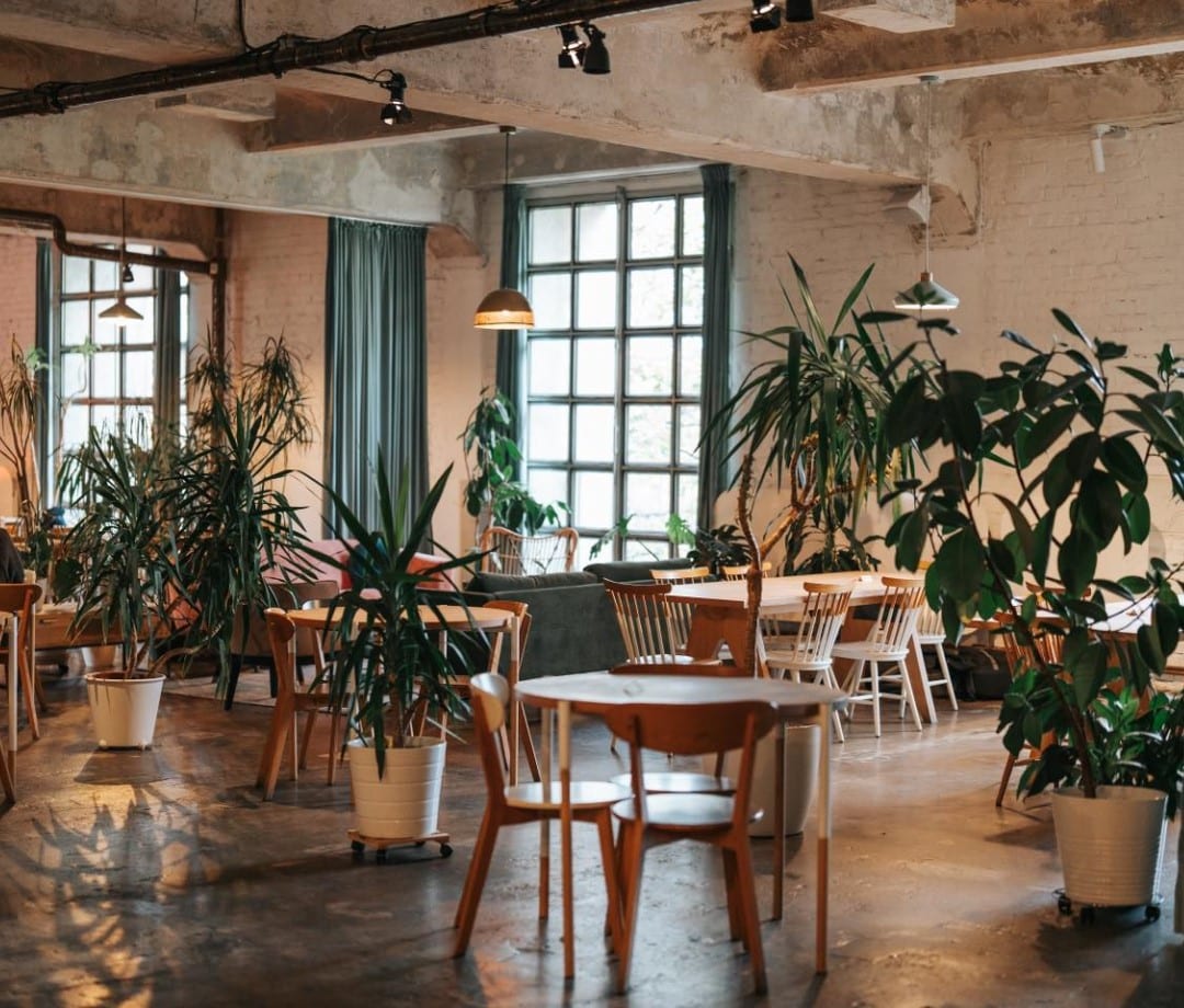 imagine de ansamblu din restaurant Deschis Gastrobar, cu mai multe mese si scaune din lemn, si multe ghivece cu plante decorative