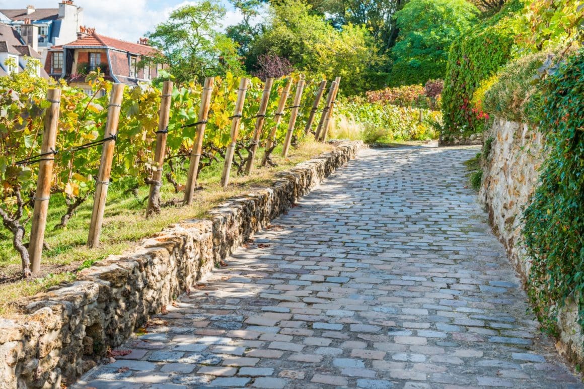 Alee care trece pe langa via de la Vignes du Clos Montmartre. Unul din cele mai romantice locuri din Paris.