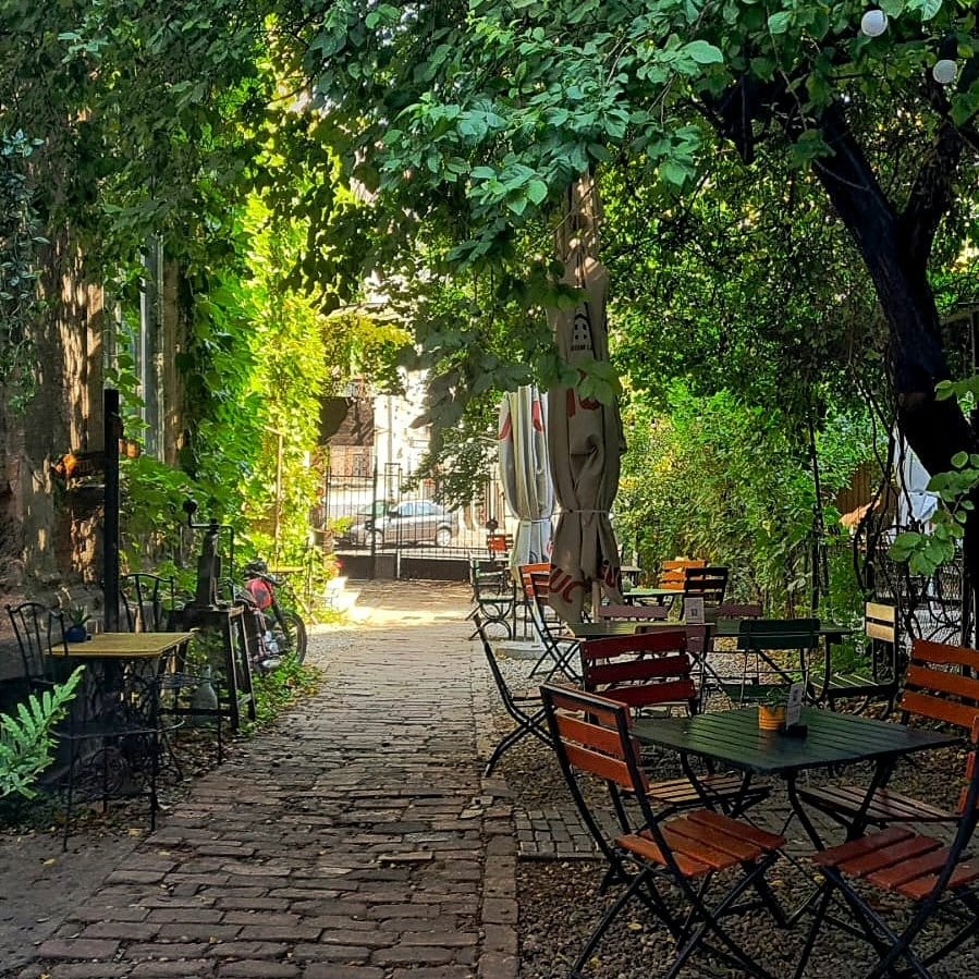 Gradina Olari cu mese asezate afara, printre copacii inverziti. terase din București