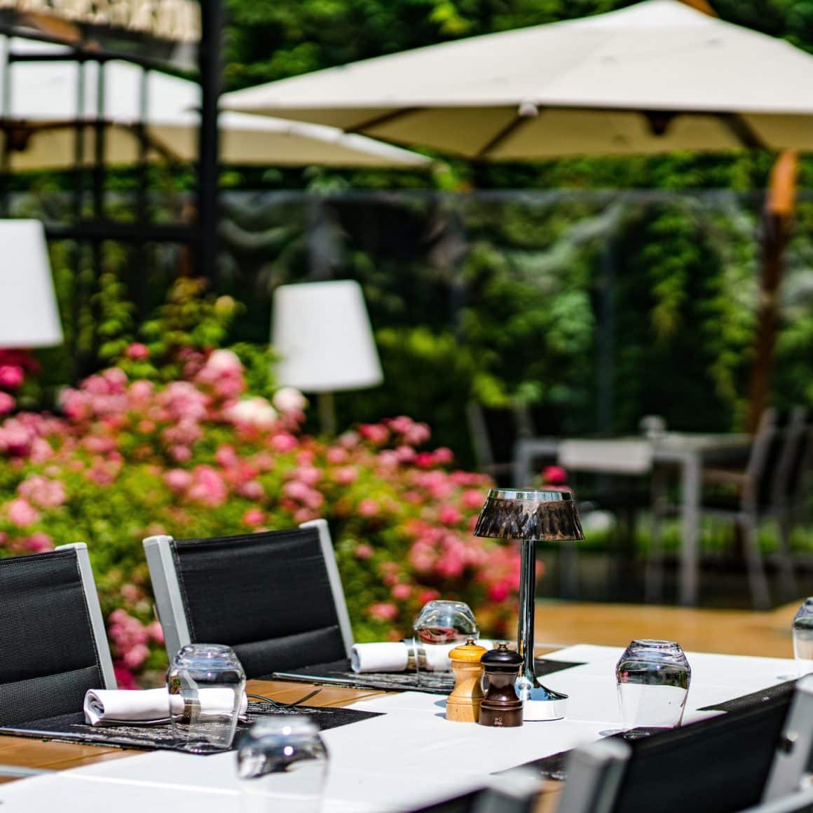 close up cu o masa aranjata frumos iar in fundal, blurat, copaci si tufe de trandafiri. Studio 80. Terase din București