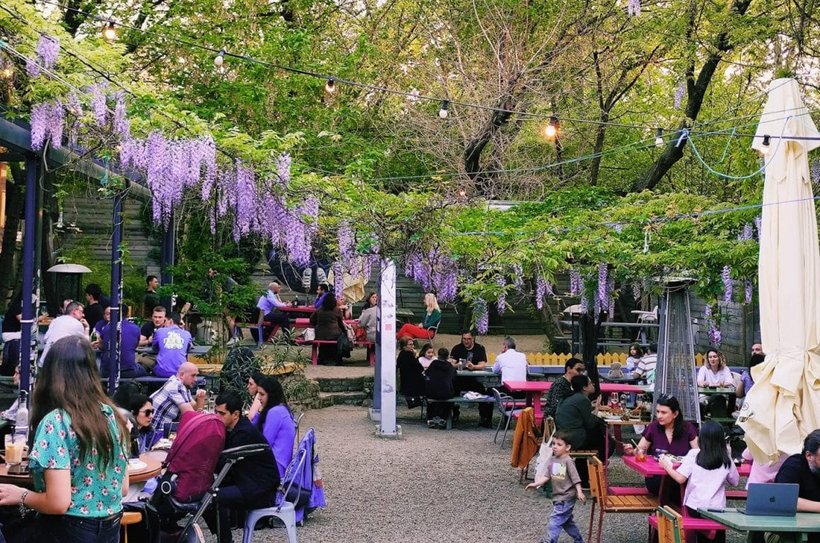 terasa de la J'ai Bistrot București, cu multi oameni asezati la mese si cu o glicina care decoreaza gradina
