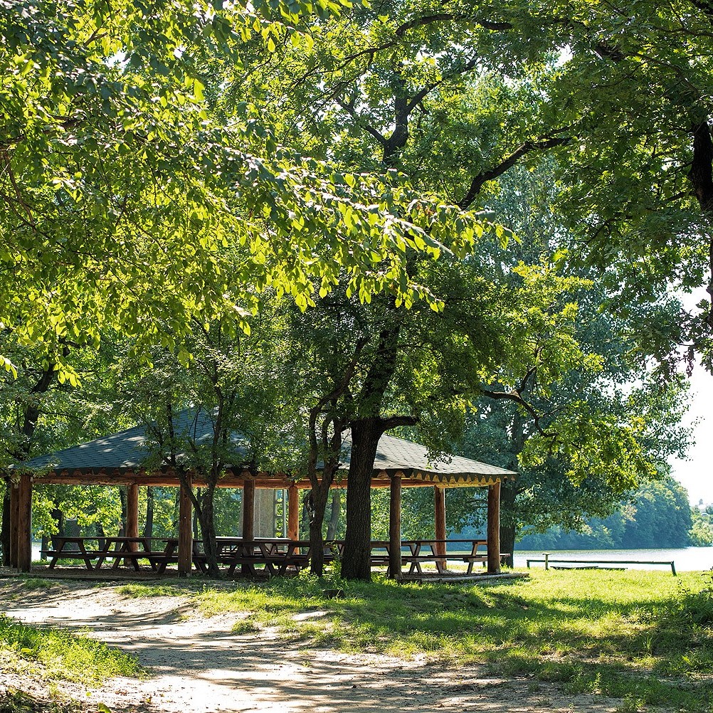 foisor fotografiat din departare, in padurea Cernica, la Extreme Park Cernica