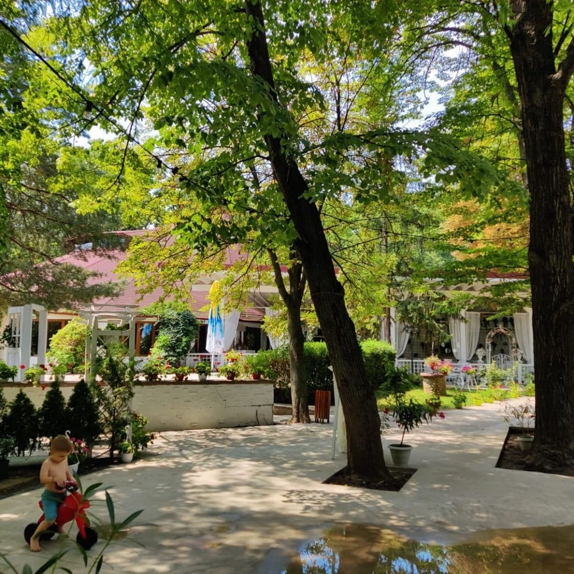 imagine din cadrul complexului Cernica