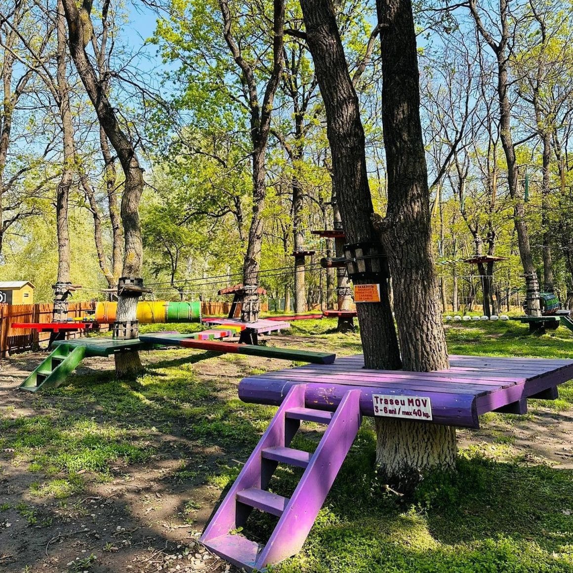 parc de trasee in copaci la Extreme Park cernica