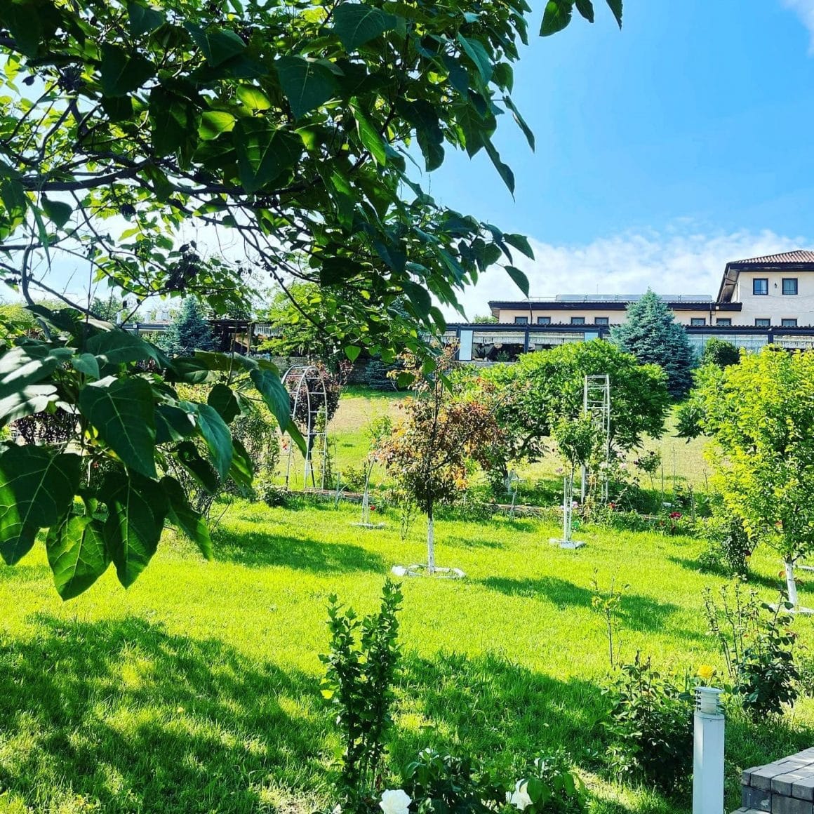 Domeniul greaca inconjurat de verdeata