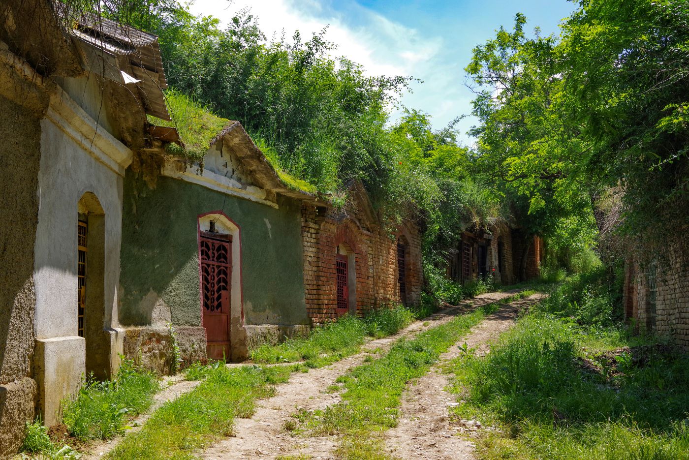 Sălacea, satul celor 1000 de pivnițe. Obiective turstice Oradea