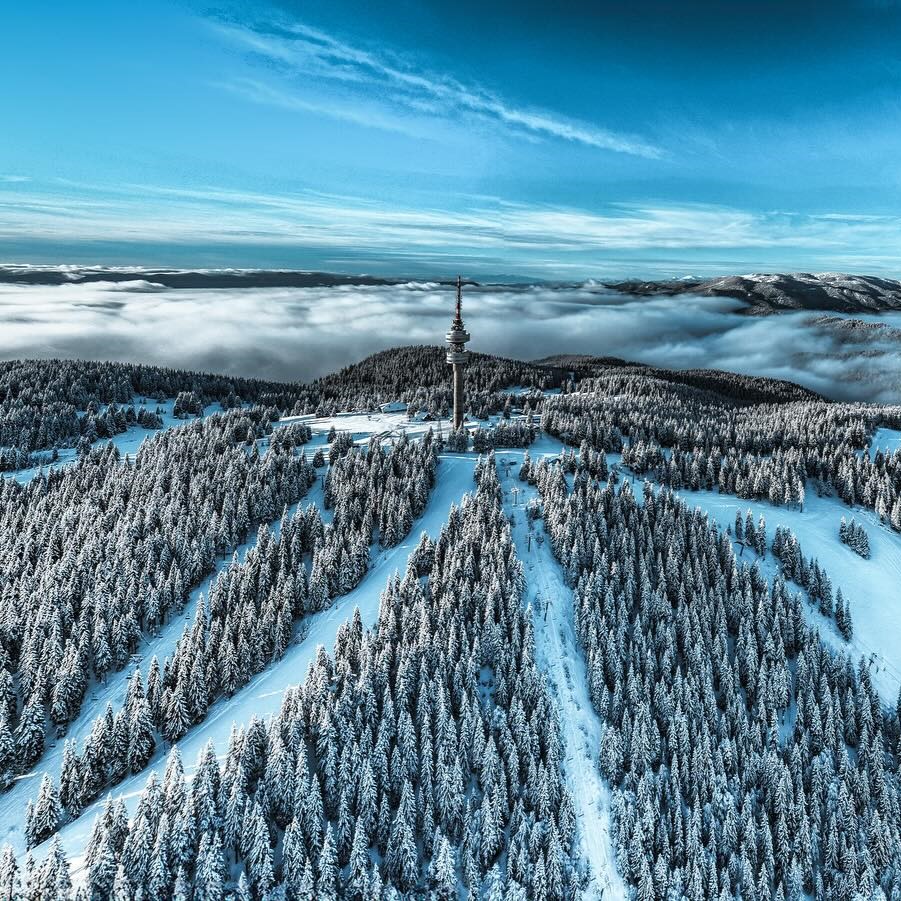 partiile din Pamporovo