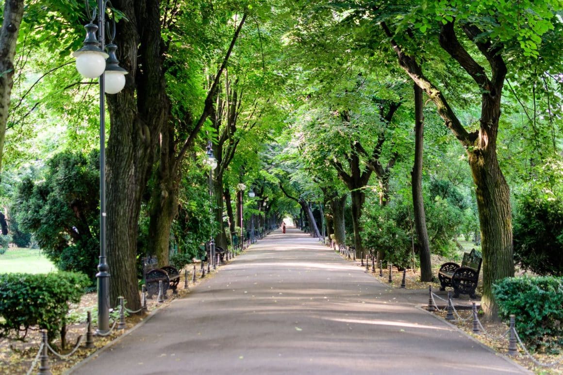 Parcul Cișmigiu din București